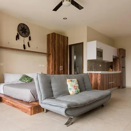 Amazing With Private Pool Gym Temazcal Apartment *