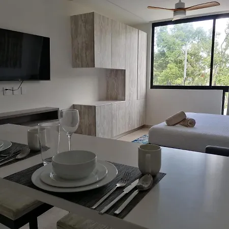 Estudio Moderno Equipado Y Luminoso Tulum