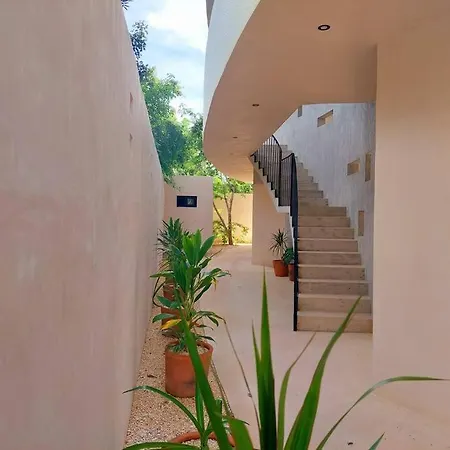 Fully Equipped Studio, King Size Bed, Great Wifi, Apartment Tulum