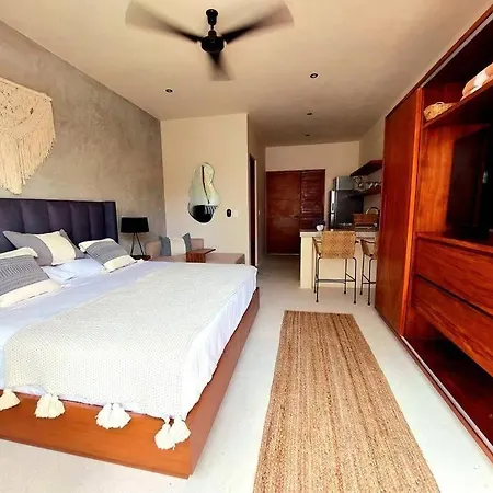 Apartment Fully Equipped Studio, King Size Bed, Great Wifi,