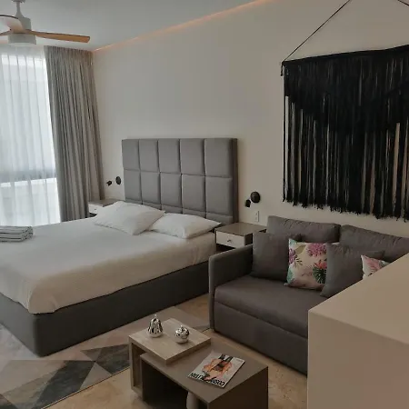 Estudio Nuevo Y Comodo