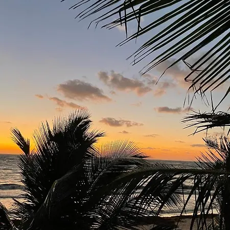 Chavez Eco And Tulum