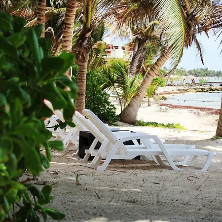 Villa Casa Caracol Oceanfront Sandy In Neighborhood With 24 Hr Security *