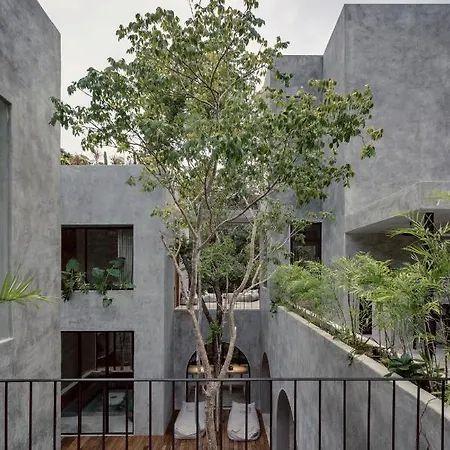 Casa Shalva Awards Design With Art Gallery Holiday home Tulum