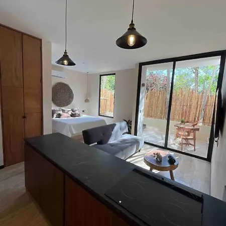 W/plunge Pool & Kitchen Tulum