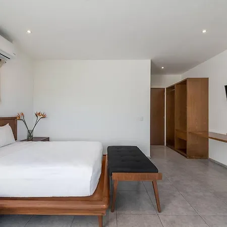 Great Located Spacious Loft Wamazing Rooftop Pool Apartment *