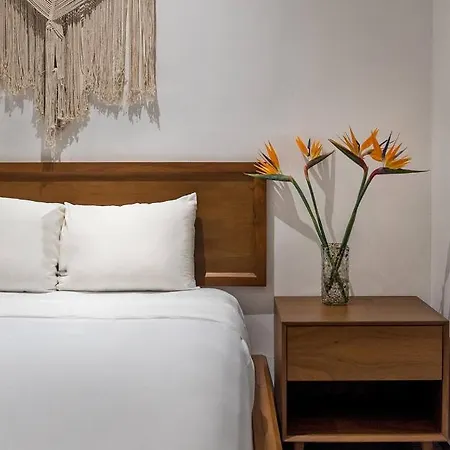 Apartment Spacious Loft With Amazing Rooftop Pool Unbeatab