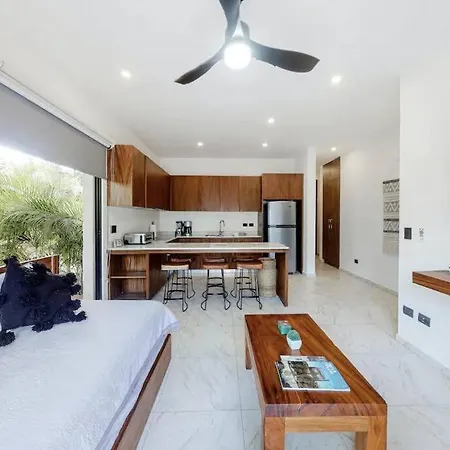 Contemporary Poolside Condo, Wi-fi - Paraiso Kaanal 101