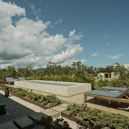 Luxury House In Villa *