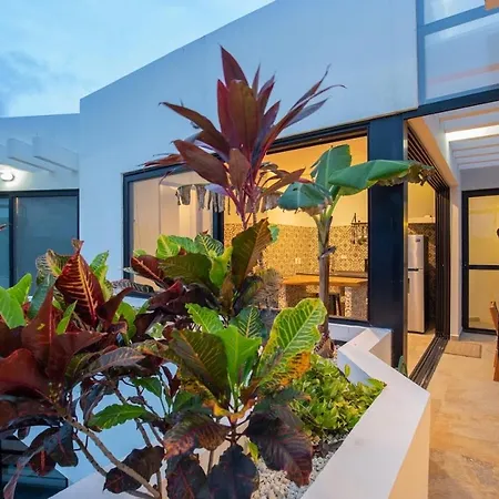 Casa Armonia Tulum/private * Pool & Garden