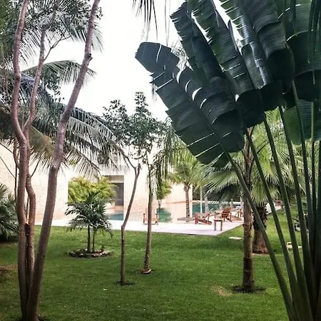 In W/pool And Rooftop 5 Min Downtown Apartment