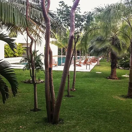 In W/pool And Rooftop 5 Min Downtown *