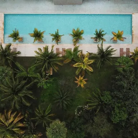 Apartment In W/pool And Rooftop 5 Min Downtown Tulum