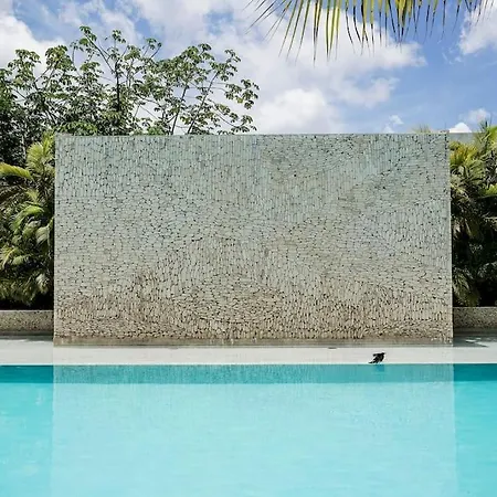 Apartment In W/pool And Rooftop 5 Min Downtown *