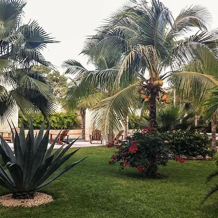 In W/pool And Rooftop 5 Min Downtown Apartment Tulum