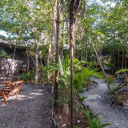 Spectacular Gaia/ph/private Pool * Tulum