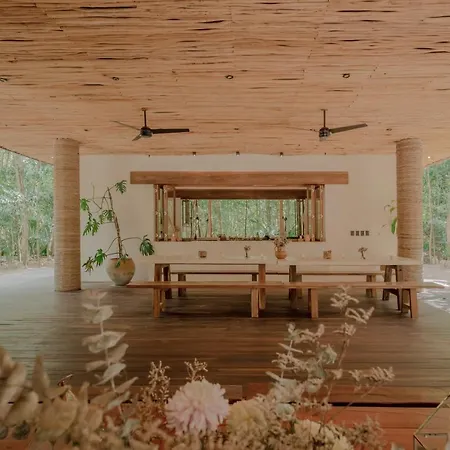 Naum - Secluded With Private Cenote Villa