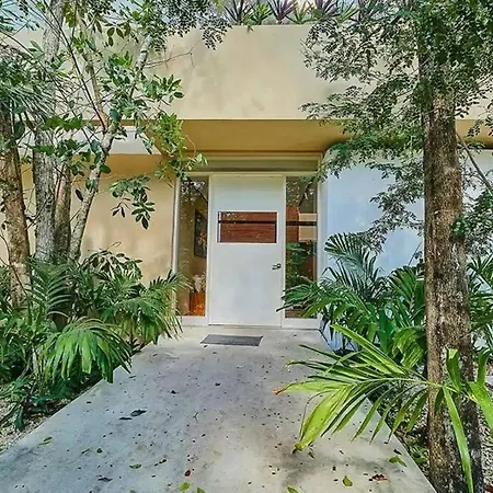 Brand-new With Swimming Pool And Gym Apartment Tulum