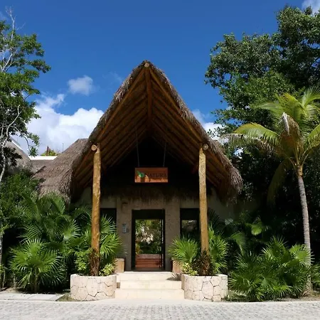 With Private Rooftop And Jacuzzi Apartment *