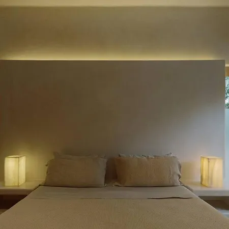 Luxury House In Villa