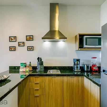 Stylish Rooftop With Pool & Jungle View In - Palalma 31 Tulum