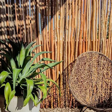 The Savia House - Rooftop & Gym Tulum