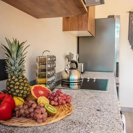 The Savia House - Rooftop & Gym *