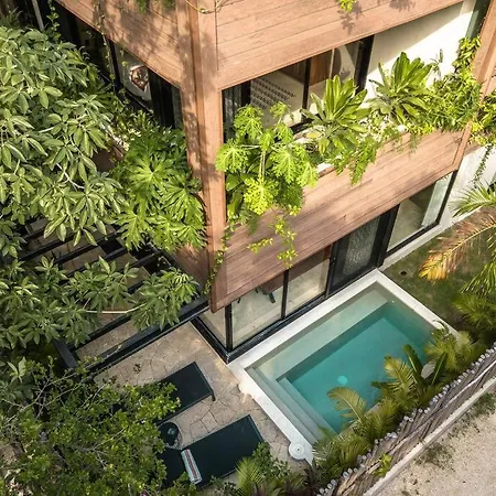 Townhouse De Lujo En La Selva Con Alberca Privada Apartment