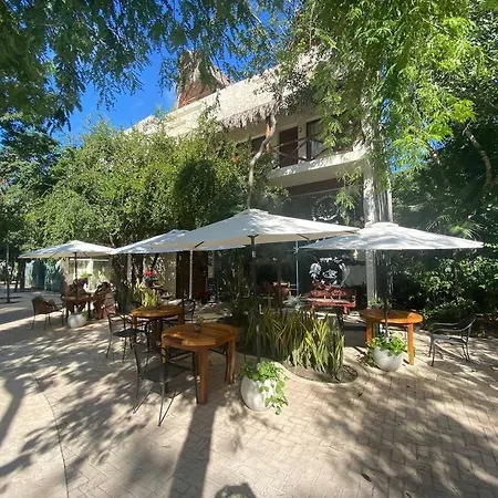 Aldea Zama Comodo, Agradable Y Con Terraza Privada! * Tulum