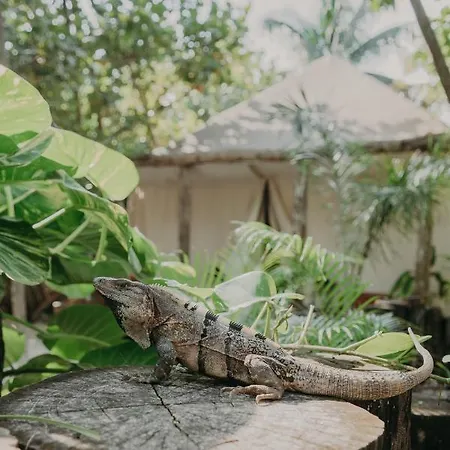 Ether Tulum