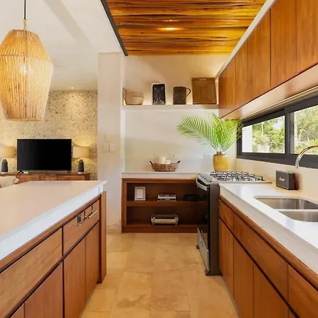 La Privada Villa, Aldea Zama, *