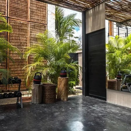 Toh1, Downtown Tulum