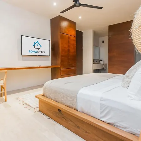Bongo Stays Upscale Penthouse Private Pool Apartment Tulum