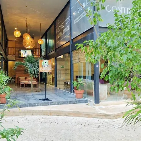 Eco-friendly And Modern Loft 4 By Noox Tulum