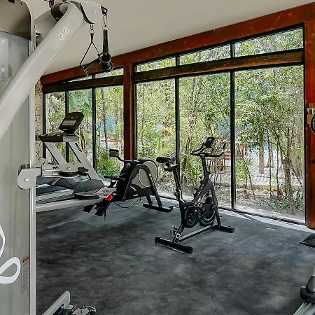 Tu Hogar Ideal En Tulum