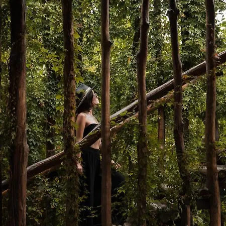 Casa Teka - Boutique & Cenote Tulum