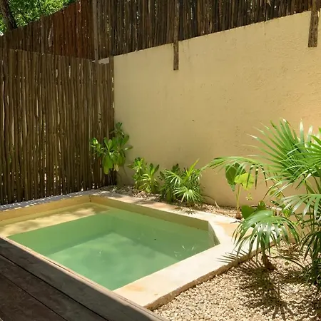 Apartment Jungle Bliss 2 Bedroon 2 Bathroom With Private Pool And Jungle Garden.