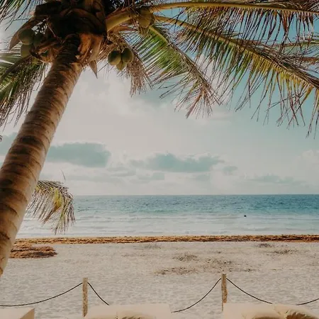 Ether 5* Tulum