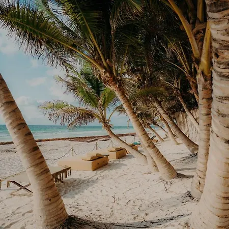 Astra Hotel Tulum