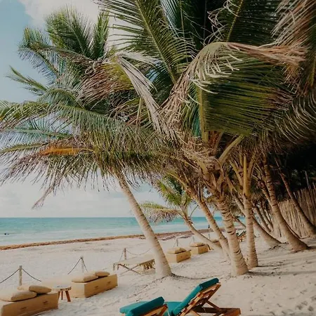Astra Hotel Tulum
