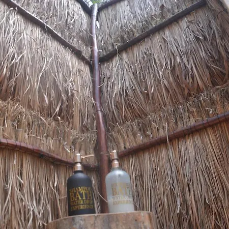 Luxury tent Glamping Mayan Glam