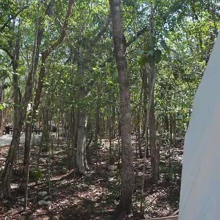 Glamping Mayan Glam