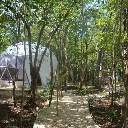 Glamping Mayan Glam Luxury tent *