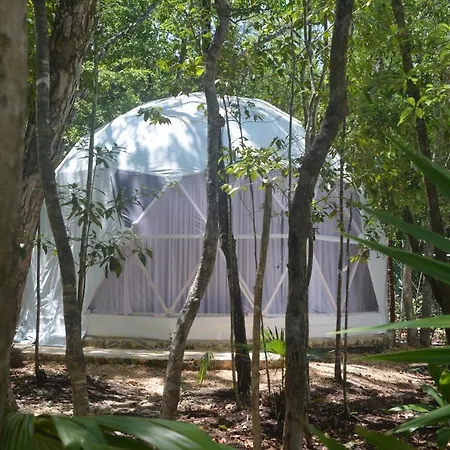 Glamping Mayan Glam *