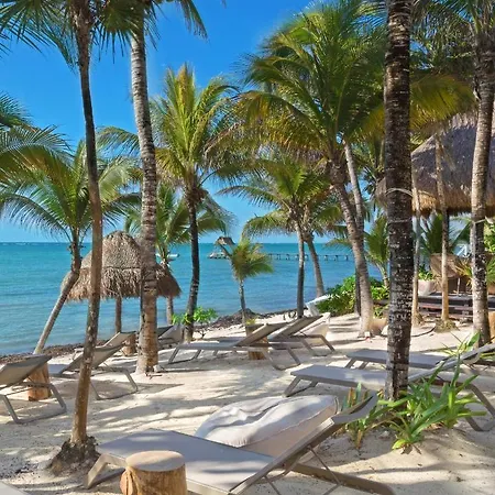 8 Bedroom Luxury With Private Chef Included Villa Tulum