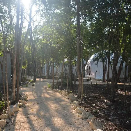 Luxury tent Glamping Mayan Glam