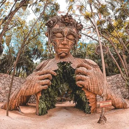 Rufoshousetulum *