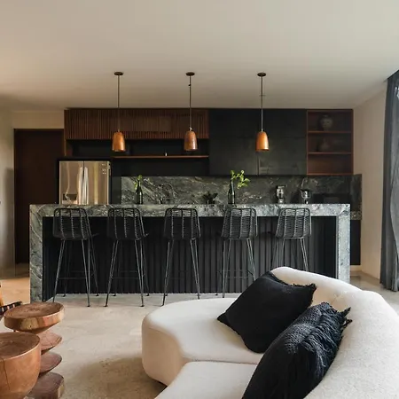 Exquisite Penthouse In Vibrant With Private Rooftop Terrace & Plunge Pool Apartment