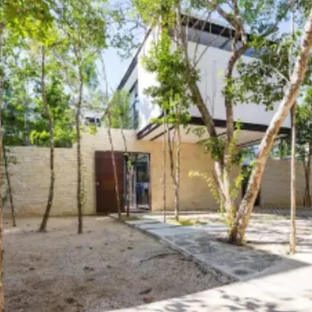 Hotel Wonderful Jungle In Mun With Private Pool Tulum