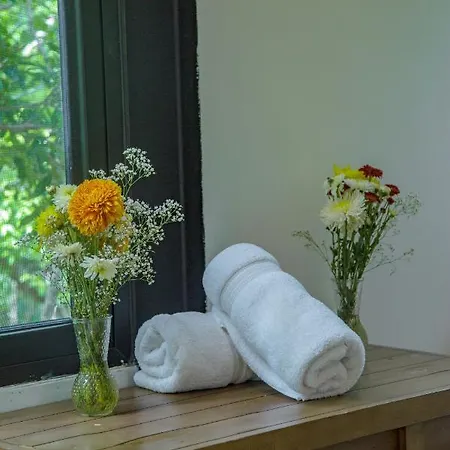 Deluxe Holiday In - Private Pool Gym * Tulum